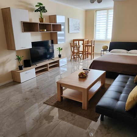 Studio Apartman Borlin Karlovac Buitenkant foto