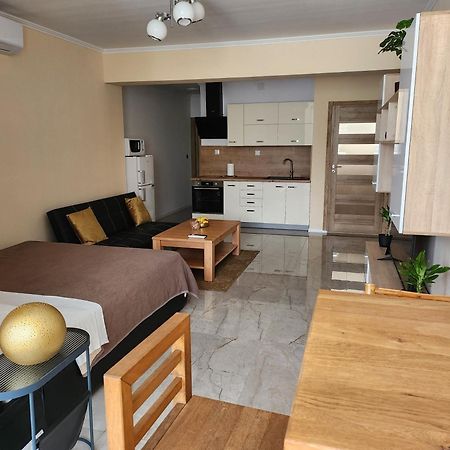 Studio Apartman Borlin Karlovac Buitenkant foto