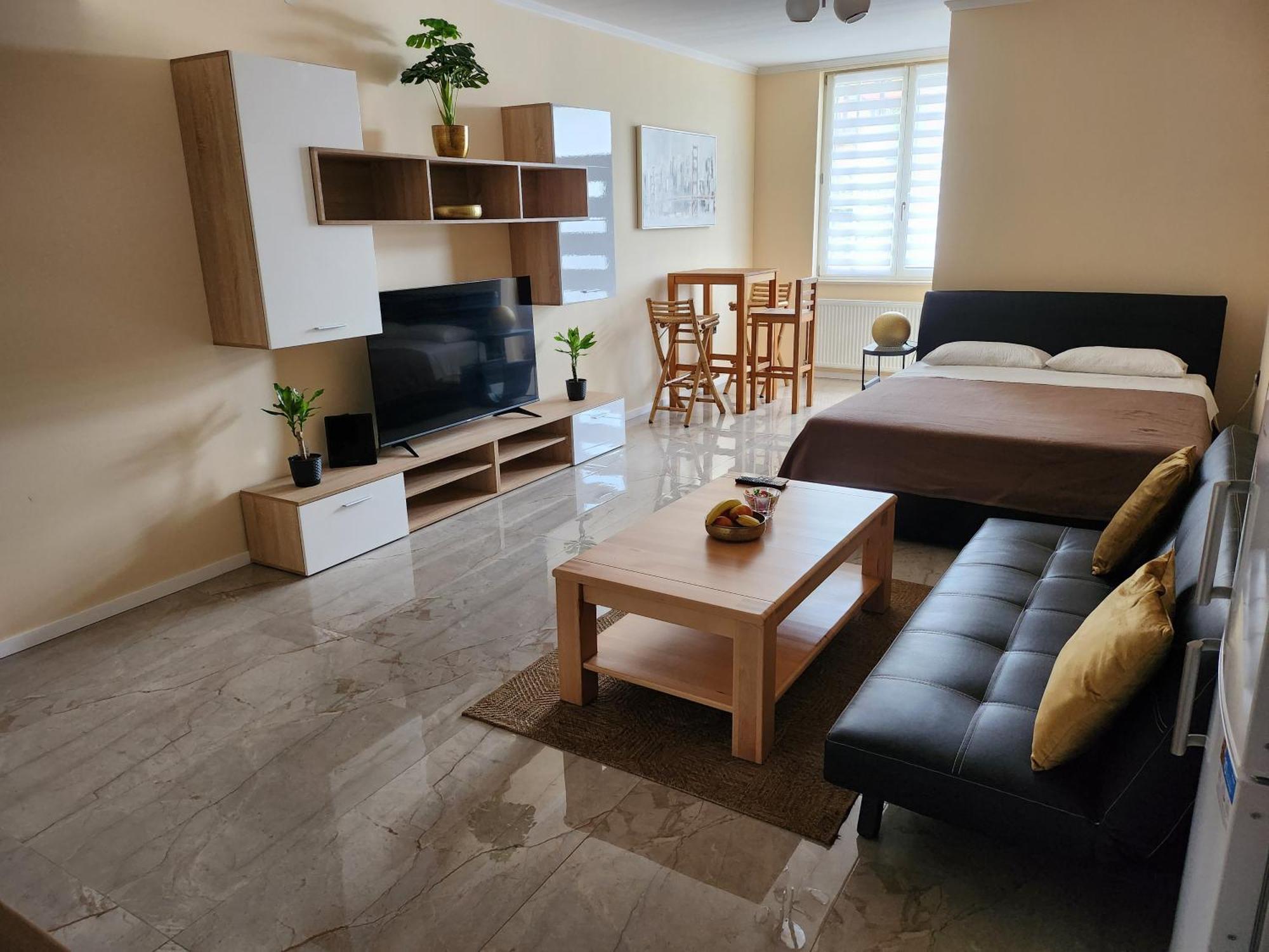 Studio Apartman Borlin Karlovac Buitenkant foto